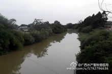 自治區(qū)水產(chǎn)畜牧獸醫(yī)局六大舉措治理畜禽養(yǎng)殖污染初見(jiàn)成效