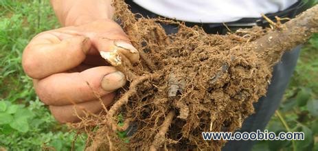 u=1314425831,133228121&fm=21&gp=0