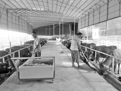 桂平帶76戶(hù)貧困戶(hù)加入智海農(nóng)業(yè)生態(tài)養(yǎng)殖發(fā)展合作社