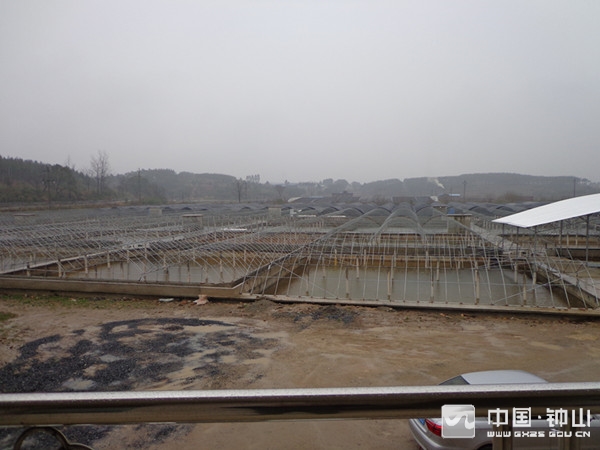 按此在新窗口瀏覽圖片