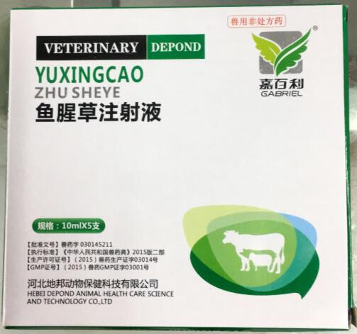 魚腥草注射液-清熱解毒，消腫排膿,利尿通淋-河北地邦