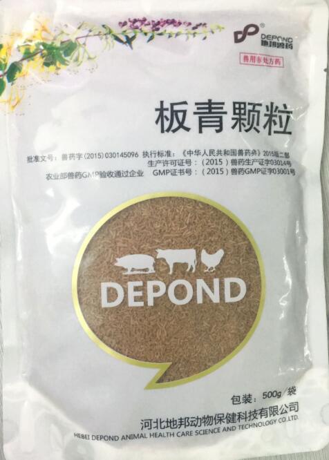 板青顆粒-清熱解毒，涼血。主治風(fēng)熱感冒，咽喉腫痛，熱病發(fā)斑。-河北地邦