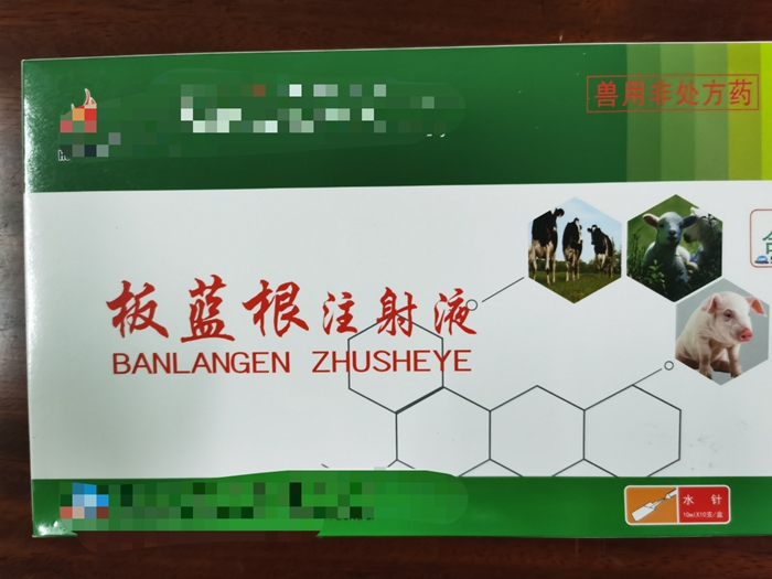 板藍(lán)根注射液--主治家畜流感，仔豬白痢，肺炎等發(fā)熱性疾病