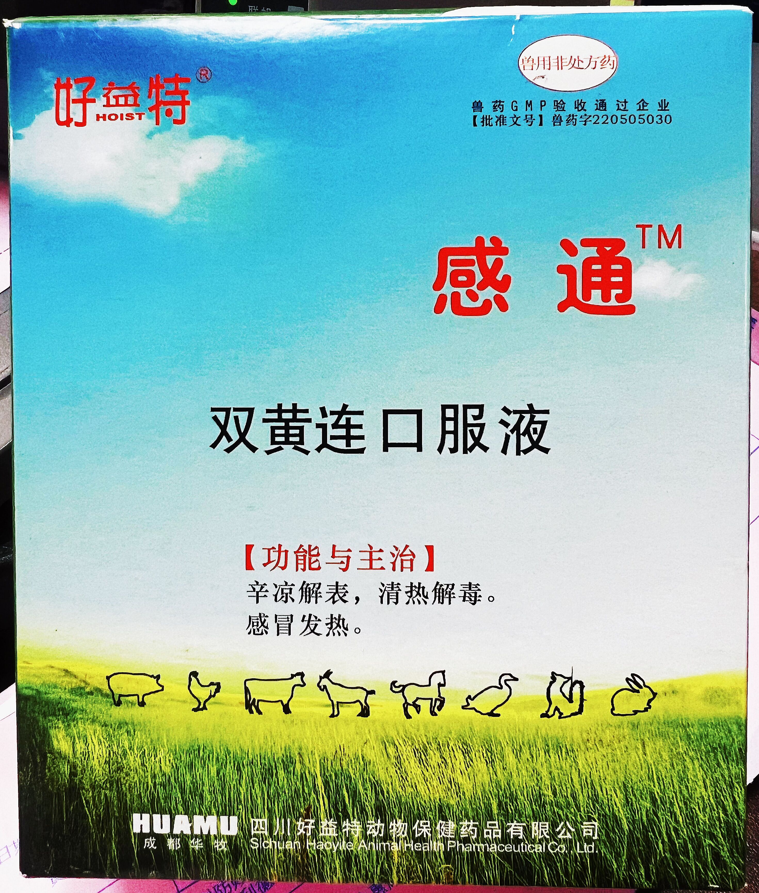 雙黃連口服液，辛涼解表，清熱解毒，感冒發(fā)熱，體溫升高，發(fā)熱與惡寒同時(shí)并見(jiàn)