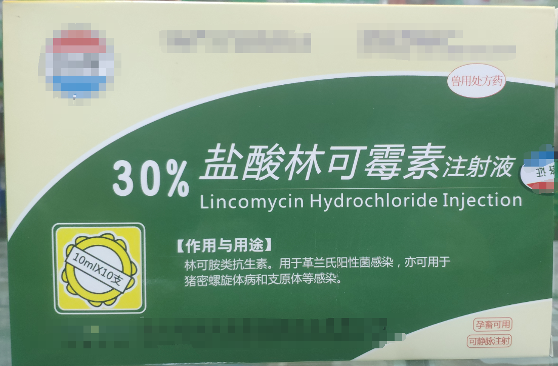 30%林可霉素注射液，用于革蘭氏陽性菌感染，亦用于母蓄的產(chǎn)后消炎，亦可用于豬密螺旋體和支原體感染