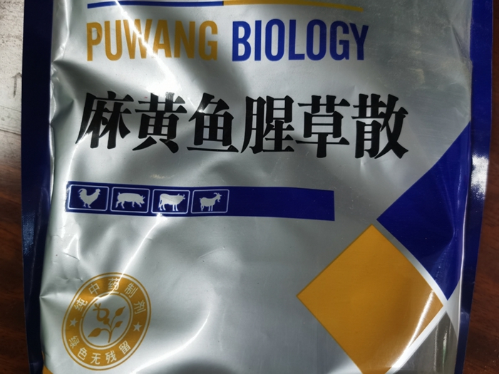 麻黃魚腥草散--肺熱咳喘、雞支原體病，胸膜肺炎與支原體混合感染