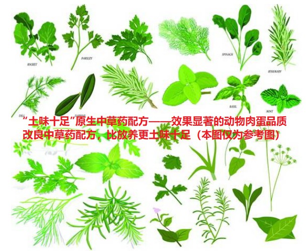 “土味十足”原生中草藥配方——效果顯著的動(dòng)物肉蛋品質(zhì)改良中草藥配方，比放養(yǎng)更土味十足