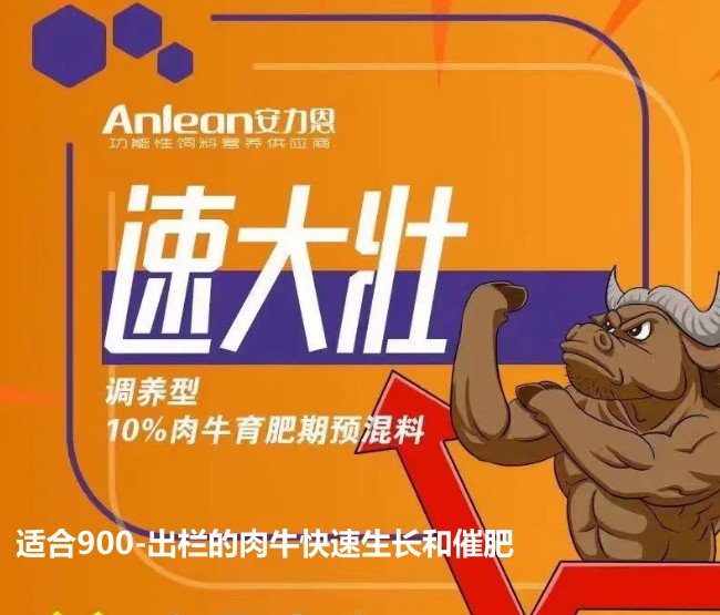 安力恩——速達(dá)壯調(diào)養(yǎng)型10%肉牛育成期預(yù)混料-適合900-出欄的肉?？焖偕L(zhǎng)和催肥