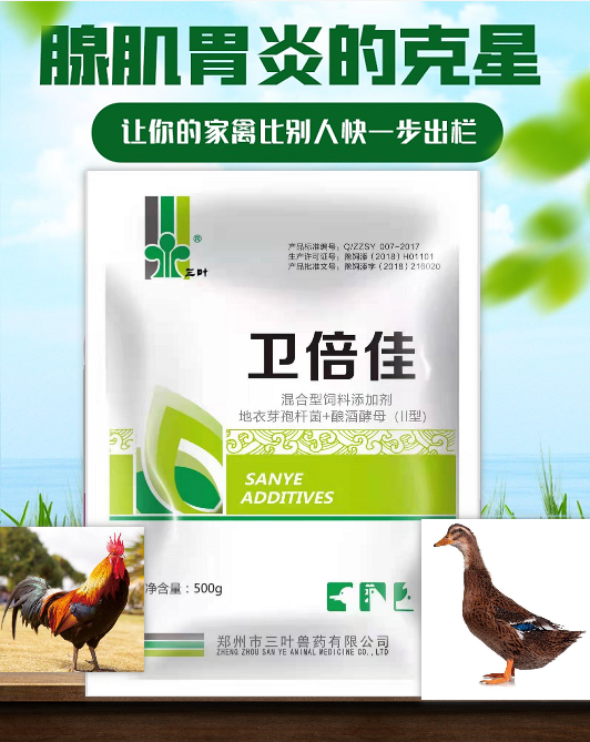 【新產(chǎn)品】腺肌胃炎的克星，讓你的家禽比別人更快一步出欄！
