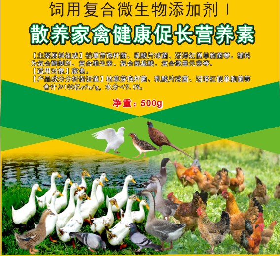 散養(yǎng)家禽健康促長營養(yǎng)素，散養(yǎng)土雞土鴨促長營養(yǎng)素，散養(yǎng)土蛋雞增產(chǎn)保健營養(yǎng)素