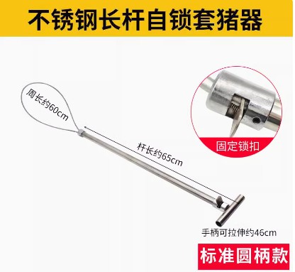 不銹鋼套豬器豬用保定器套豬嘴神器母豬套索桿養(yǎng)殖場(chǎng)抓豬器