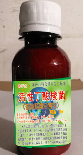 活性丁酸梭菌（畜禽腸健活菌劑100毫升裝），腸道保健益生菌中的佼佼者，頑固性腹瀉快速解決方案產(chǎn)品