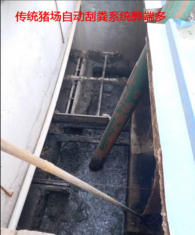 傳統(tǒng)豬場自動刮糞系統(tǒng)弊端多.jpg