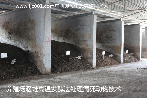 漚堆法高溫發(fā)酵處理病死動(dòng)物.jpg
