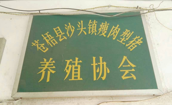 廣西助農(nóng)服務(wù)在養(yǎng)殖場(chǎng)一線技術(shù)員2.png