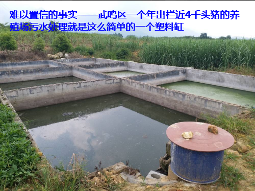 養(yǎng)殖場污水處理步驟53.png