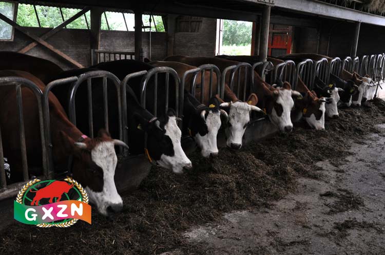 點(diǎn)擊在新窗口打開