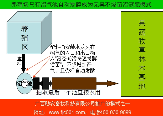 養(yǎng)殖場(chǎng)只有沼氣池自動(dòng)發(fā)酵成為無臭不燒苗沼液肥模式.jpg