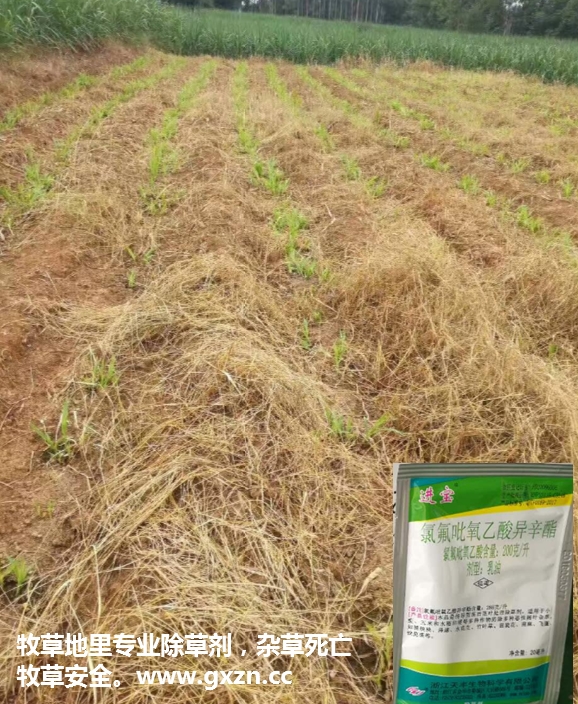 牧草除草劑1.jpg
