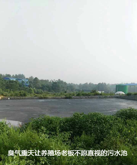 養(yǎng)殖場(chǎng)污水處理步驟8.png