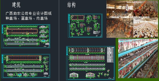 家禽養(yǎng)殖場建設(shè)1.jpg