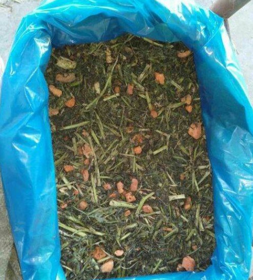 胡蘿卜秧袋裝青貯含大量碎胡蘿卜3.jpg