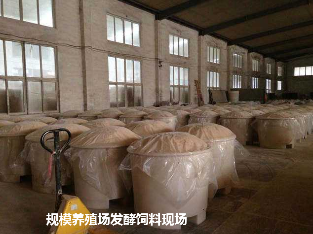 發(fā)酵飼料現(xiàn)場1.png