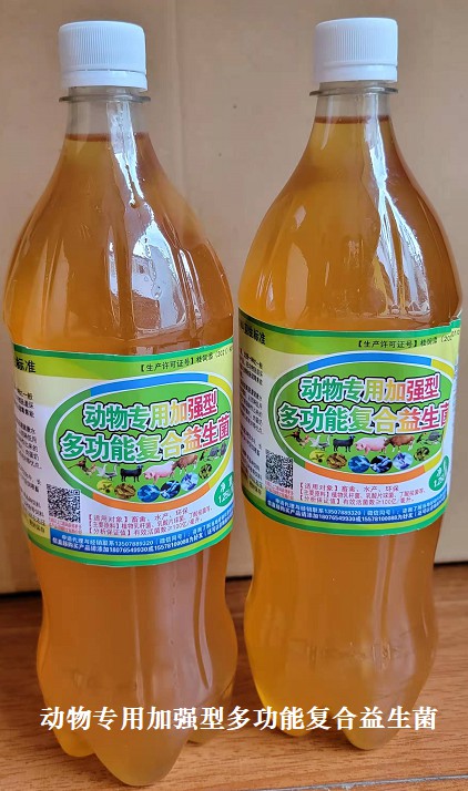 動(dòng)物專用加強(qiáng)型多功能復(fù)合益生菌.jpg