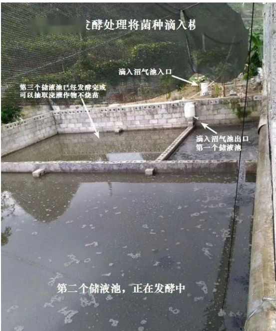 1641008192962104.png 1641008192962104.png