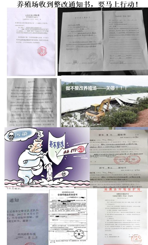 養(yǎng)殖場(chǎng)收到環(huán)保整改通知書(shū).jpg