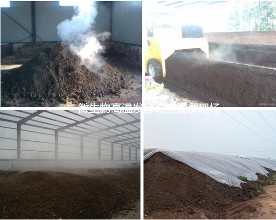 堆肥發(fā)酵.png