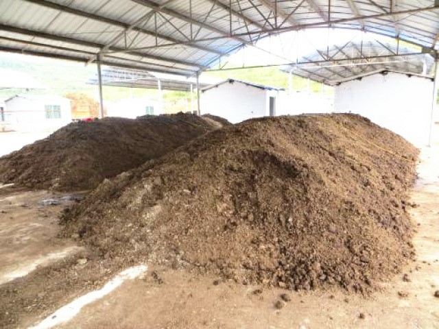 牛糞發(fā)酵現(xiàn)場.jpg