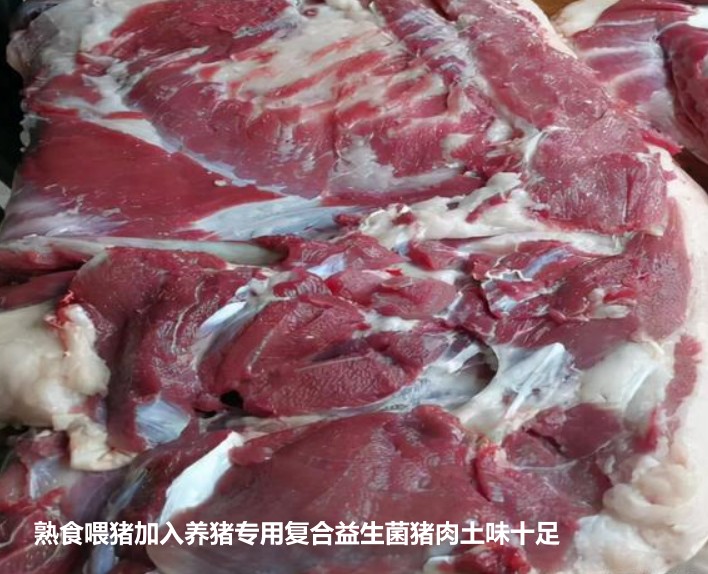熟食喂豬加入養(yǎng)豬專用復合益生菌豬肉土味十足.jpg