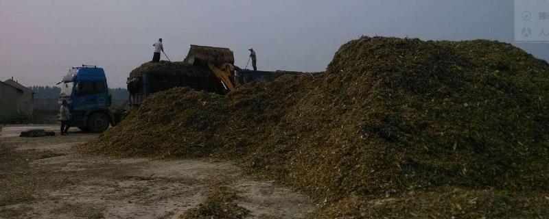 青儲(chǔ)飼料的制作方法，要用什么