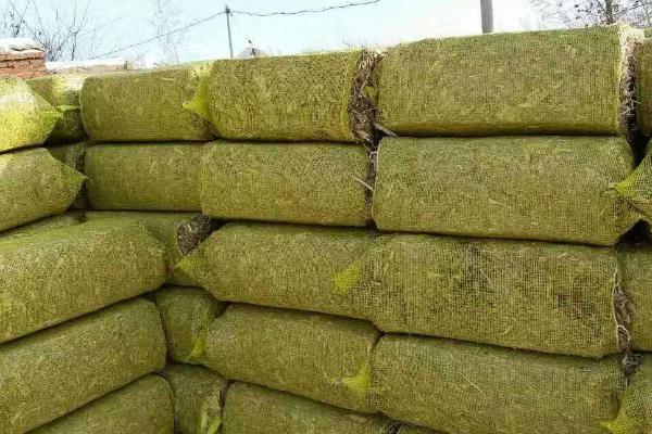 青儲(chǔ)飼料的制作方法，要用什么