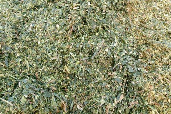 青儲(chǔ)飼料的制作方法，要用什么