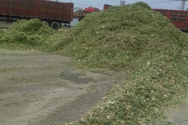 青儲(chǔ)飼料的制作方法，要用什么