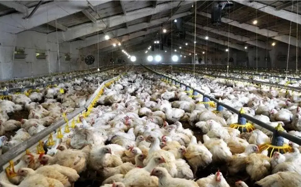 1740385387712 - 副本.png