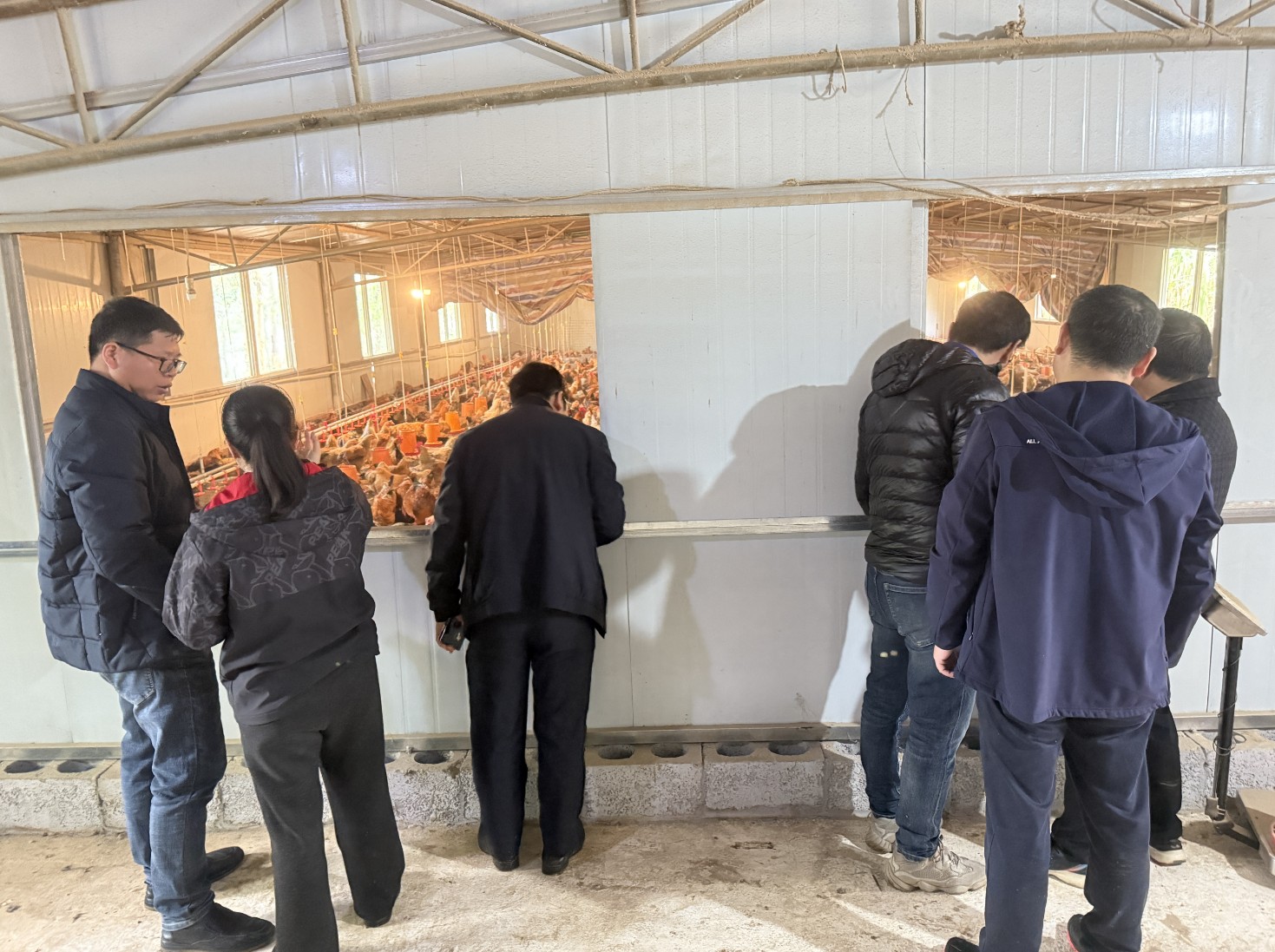 金陵農(nóng)牧集團(tuán)前來調(diào)研3.jpg
