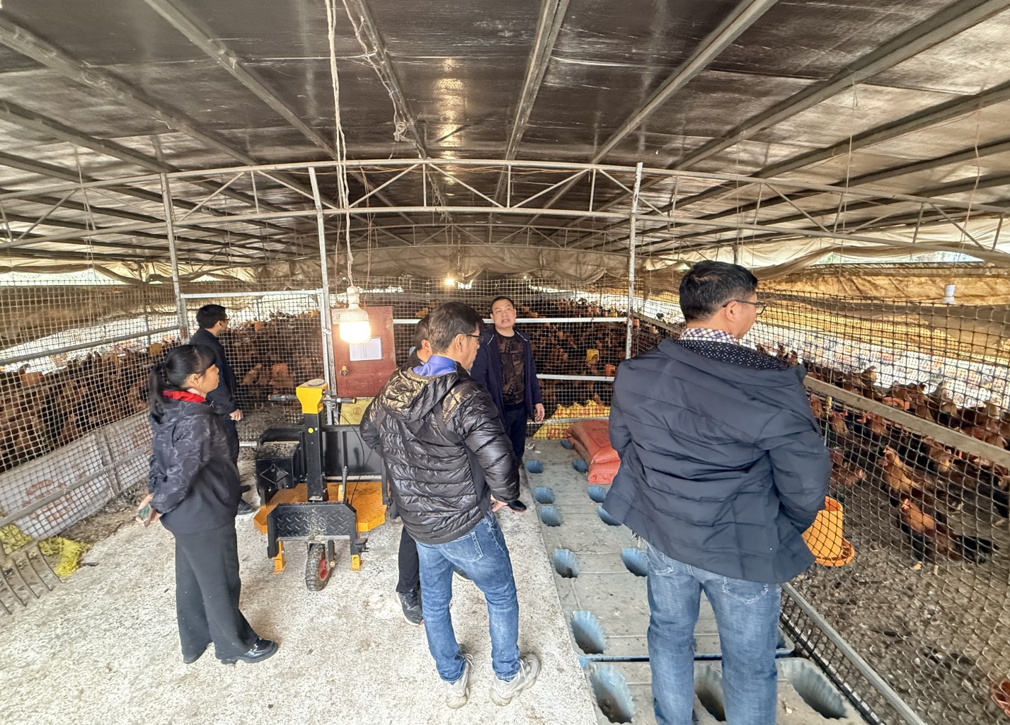 金陵農(nóng)牧集團(tuán)前來調(diào)研5.jpg