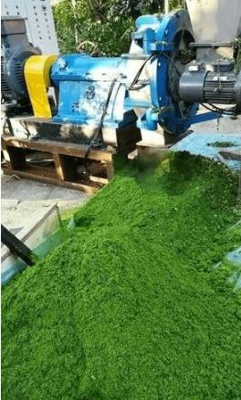 1704334970180303 (1).jpg