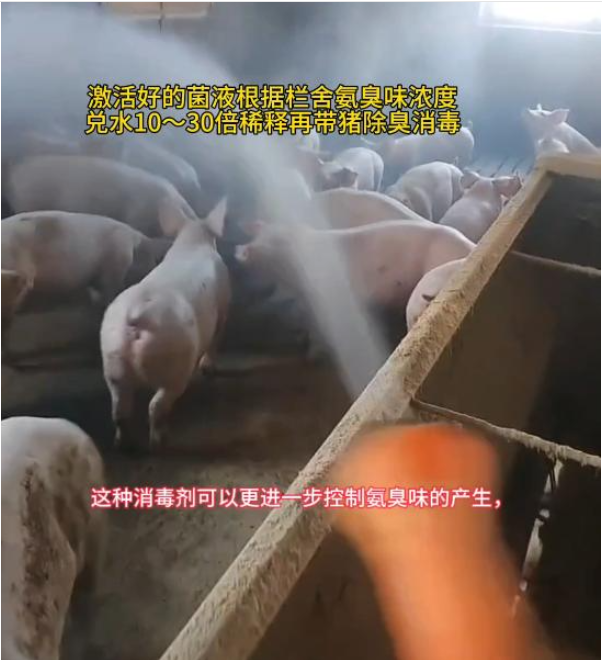 豬場除臭1.png