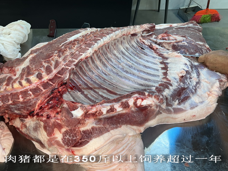 肉豬都是在350斤以上飼養(yǎng)超過一年.jpg