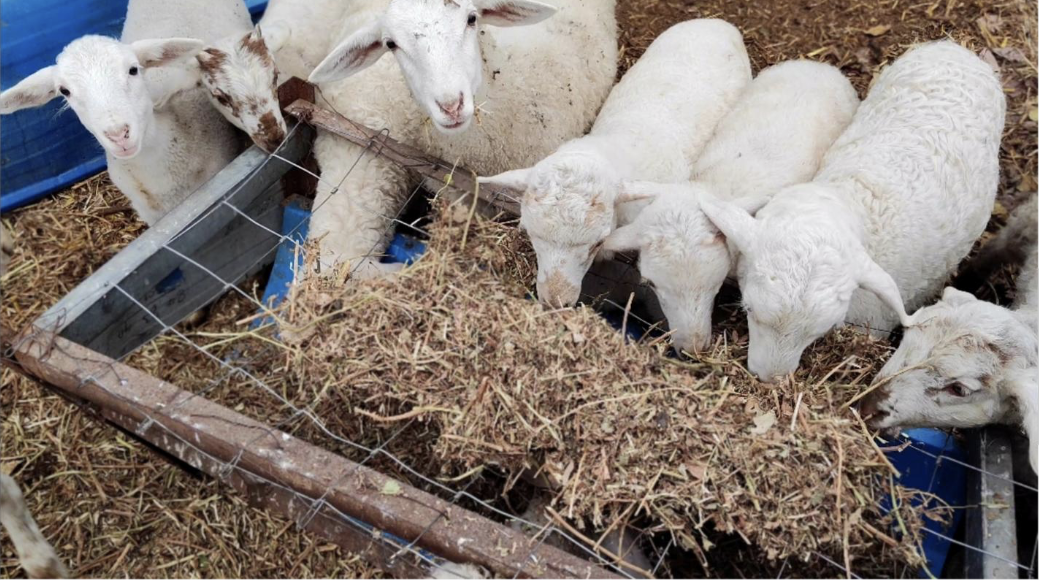 截屏2025-11-01 17.34.51.png