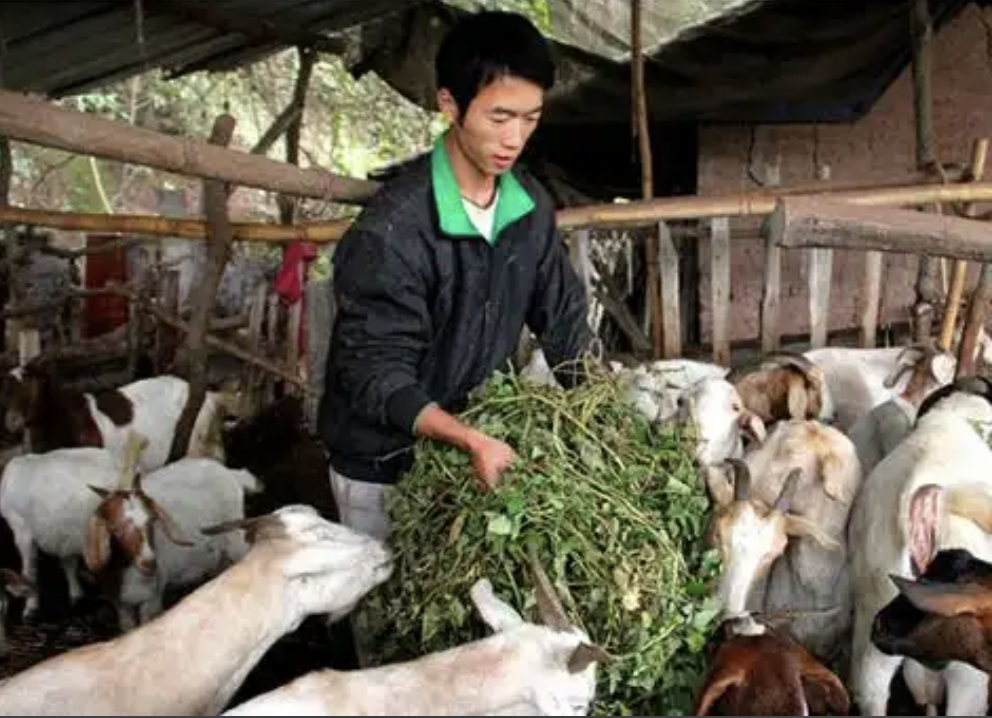 截屏2025-11-01 18.07.54.png