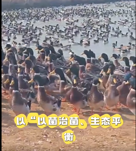 截圖20260319090251.png