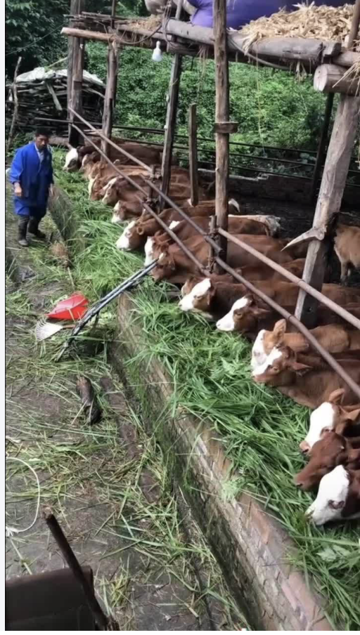 截屏2026-03-26 15.28.21.png