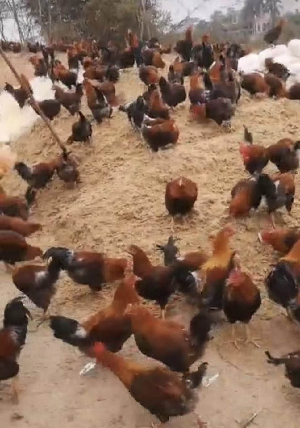 截屏2026-03-27 10.55.12.png