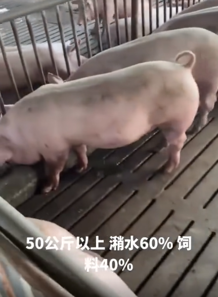 截圖20260417101838.png