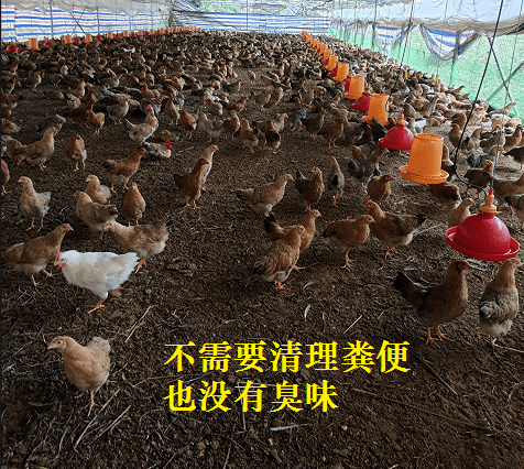 截圖20260420091931.png